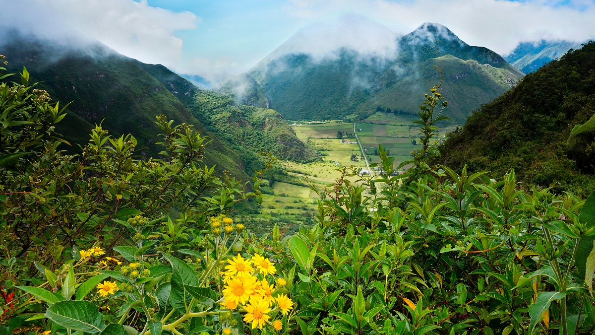 Mountains of Ecuador